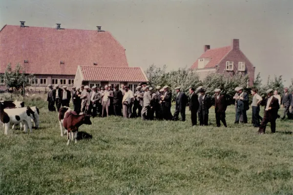 Start Melkveebedrijf Blankers