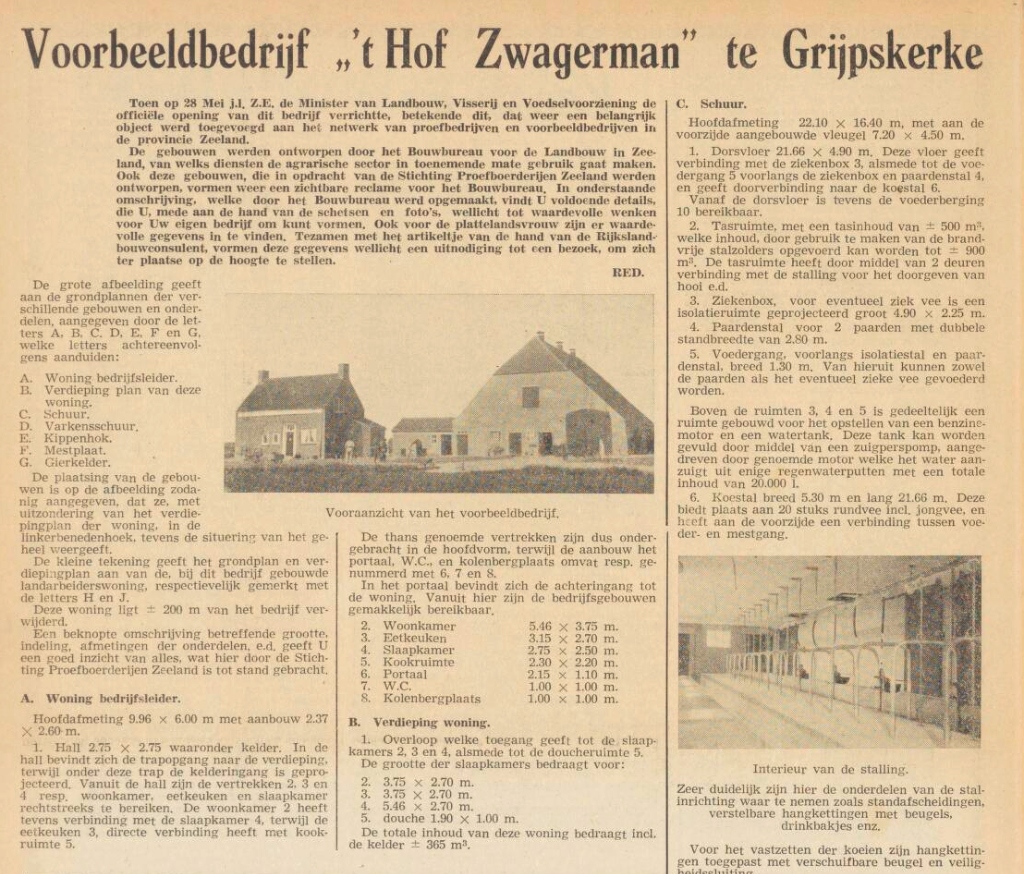 Krantenartikel