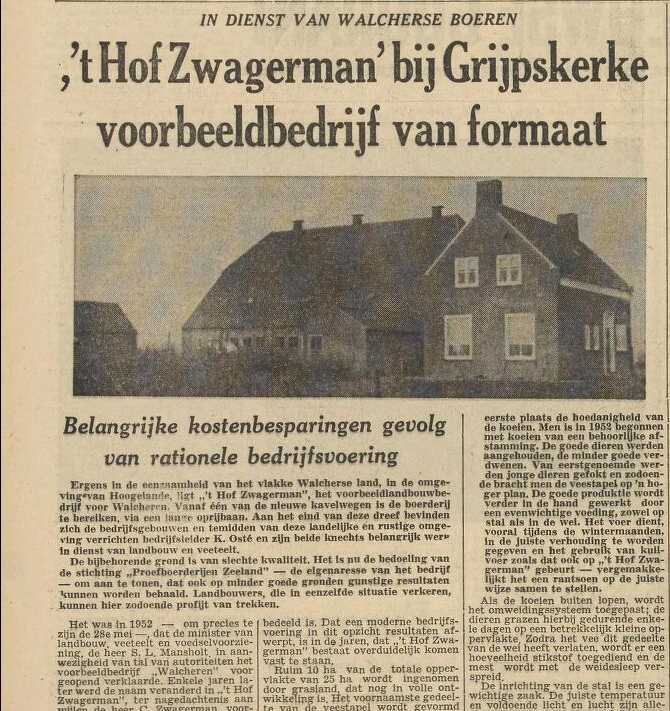 Krantenartikel